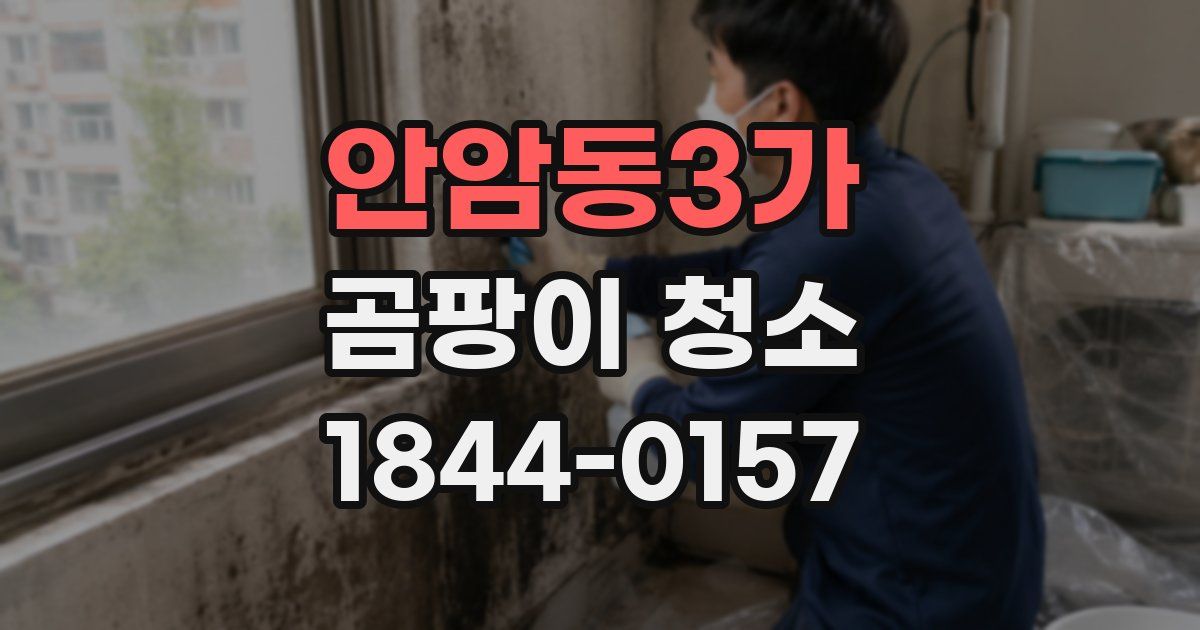 안암동3가 곰팡이 청소
