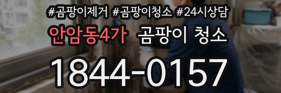 안암동4가 곰팡이 청소