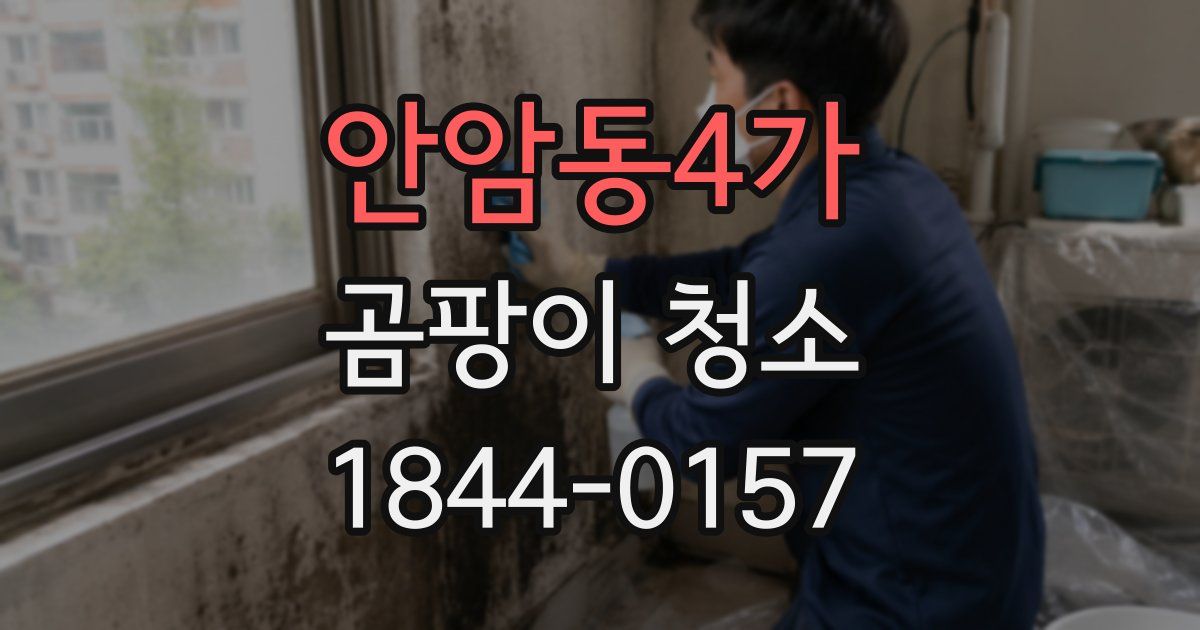 안암동4가 곰팡이 청소