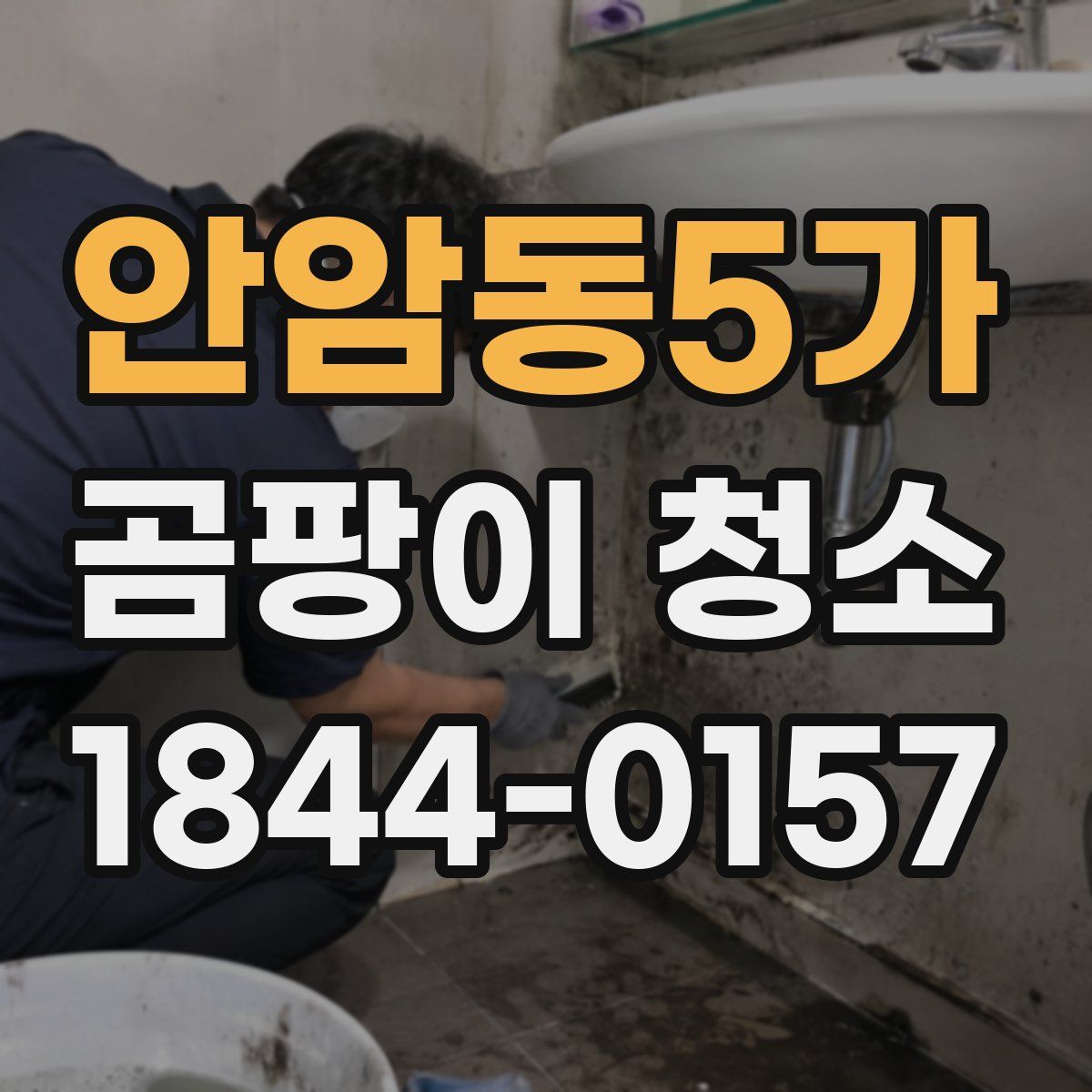 안암동5가 곰팡이 청소