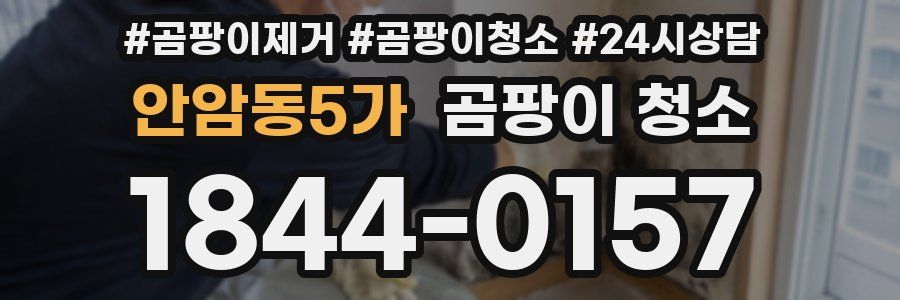 안암동5가 곰팡이 청소