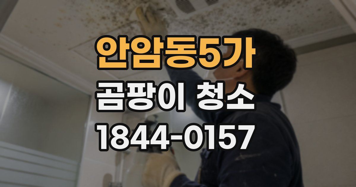 안암동5가 곰팡이 청소