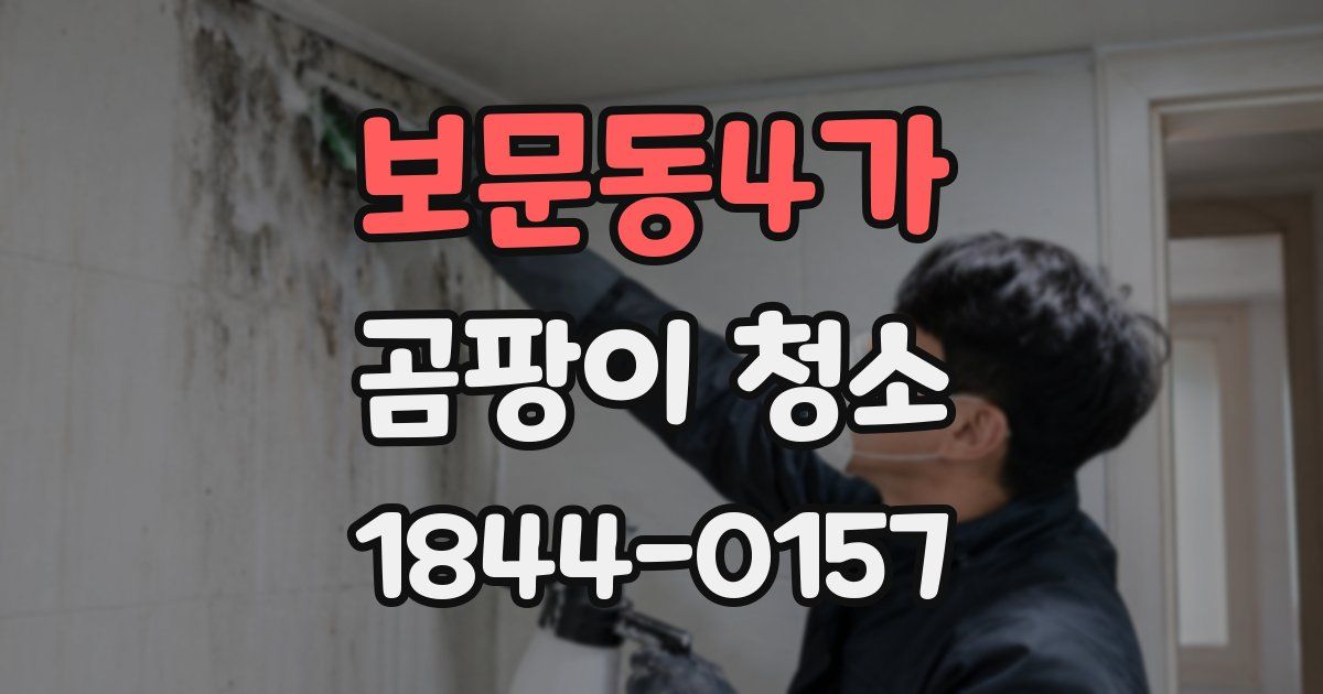 보문동4가 곰팡이 청소