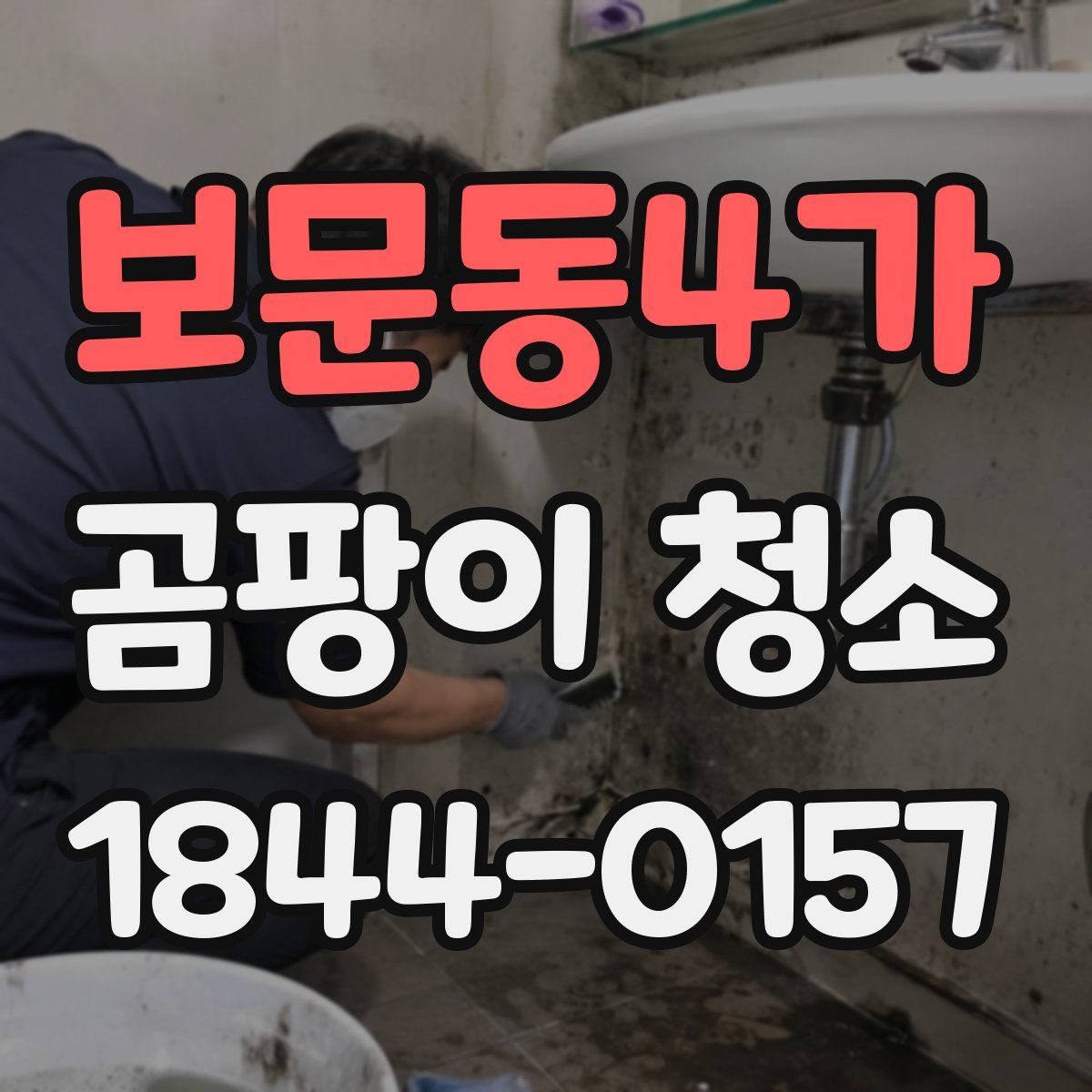 보문동4가 곰팡이 청소