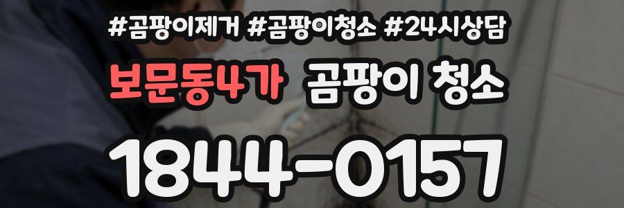 보문동4가 곰팡이 청소