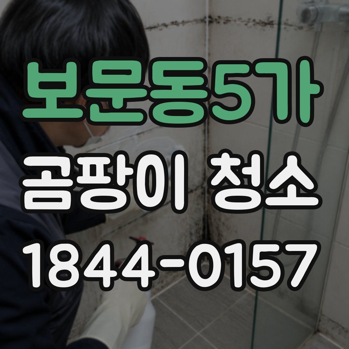 보문동5가 곰팡이 청소