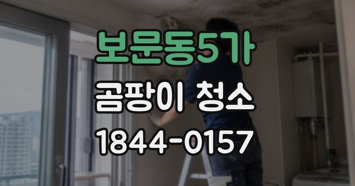 보문동5가 곰팡이 청소