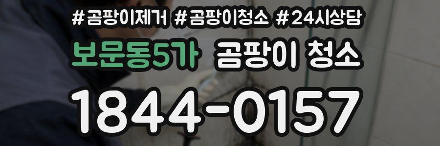 보문동5가 곰팡이 청소