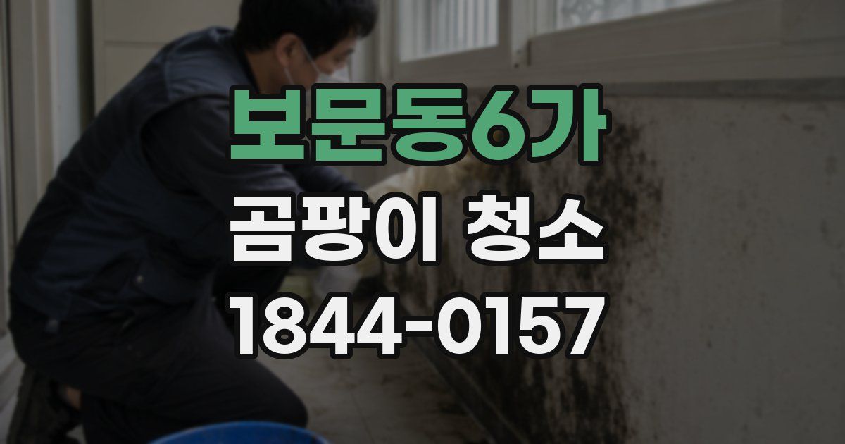 보문동6가 곰팡이 청소