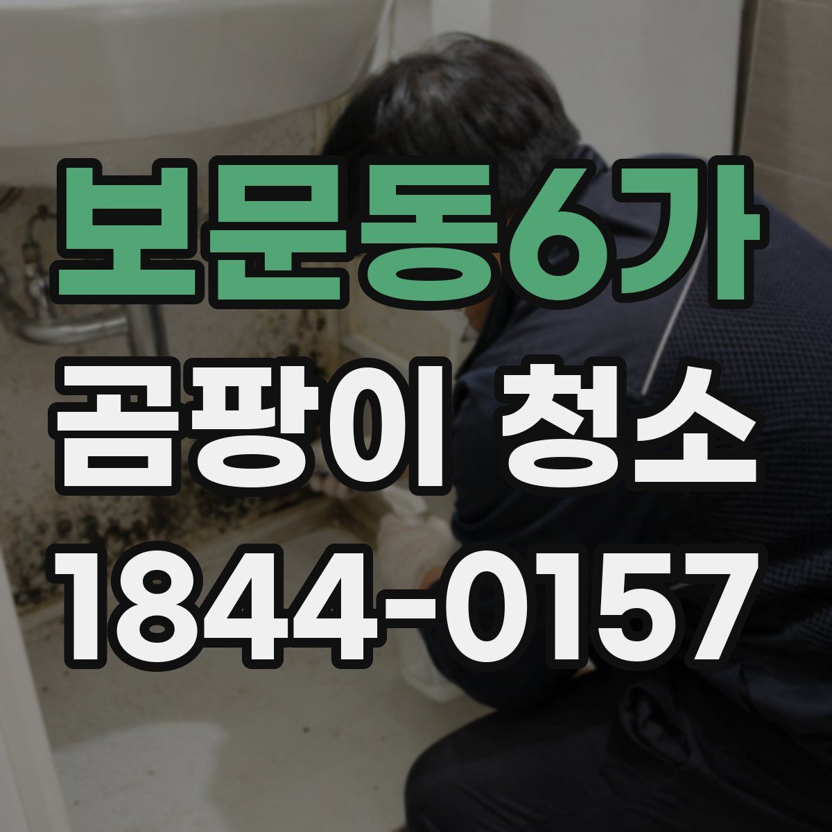 보문동6가 곰팡이 청소