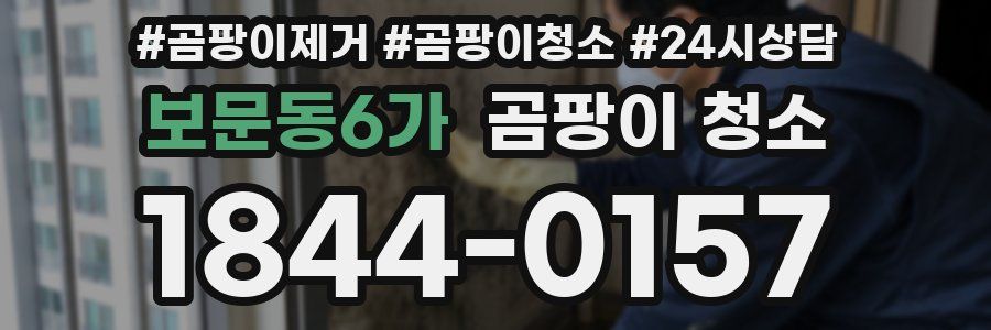 보문동6가 곰팡이 청소