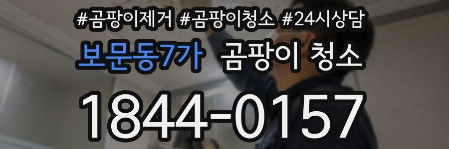 보문동7가 곰팡이 청소
