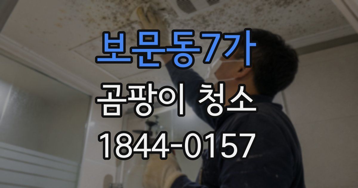 보문동7가 곰팡이 청소