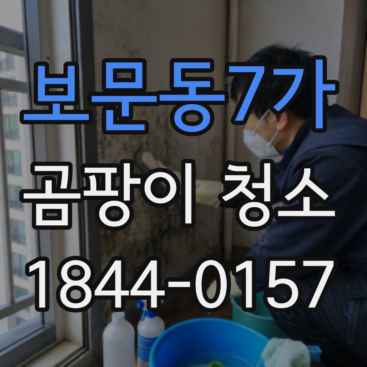 보문동7가 곰팡이 청소