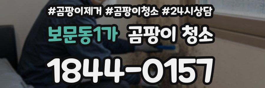 보문동1가 곰팡이 청소