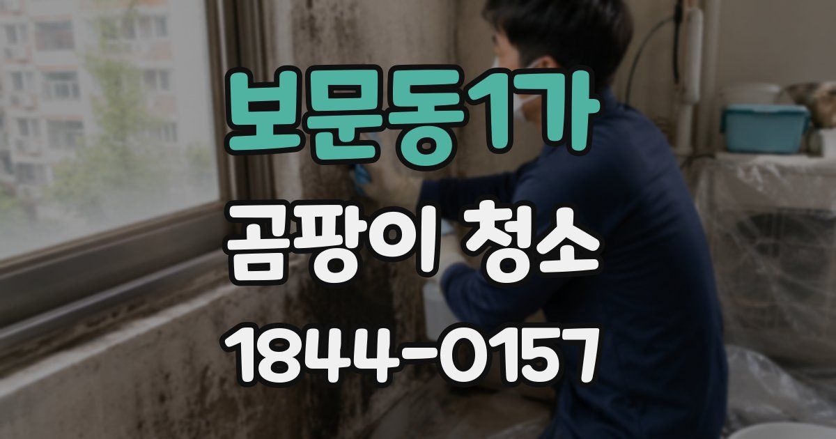 보문동1가 곰팡이 청소