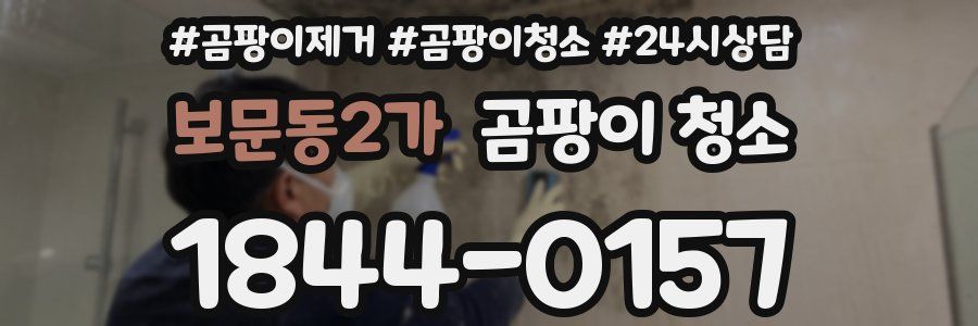 보문동2가 곰팡이 청소