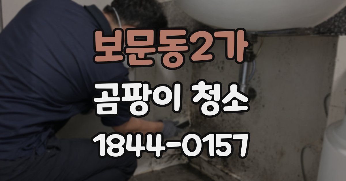 보문동2가 곰팡이 청소
