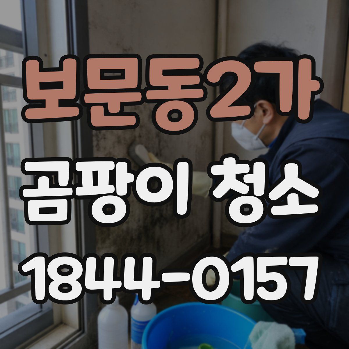보문동2가 곰팡이 청소