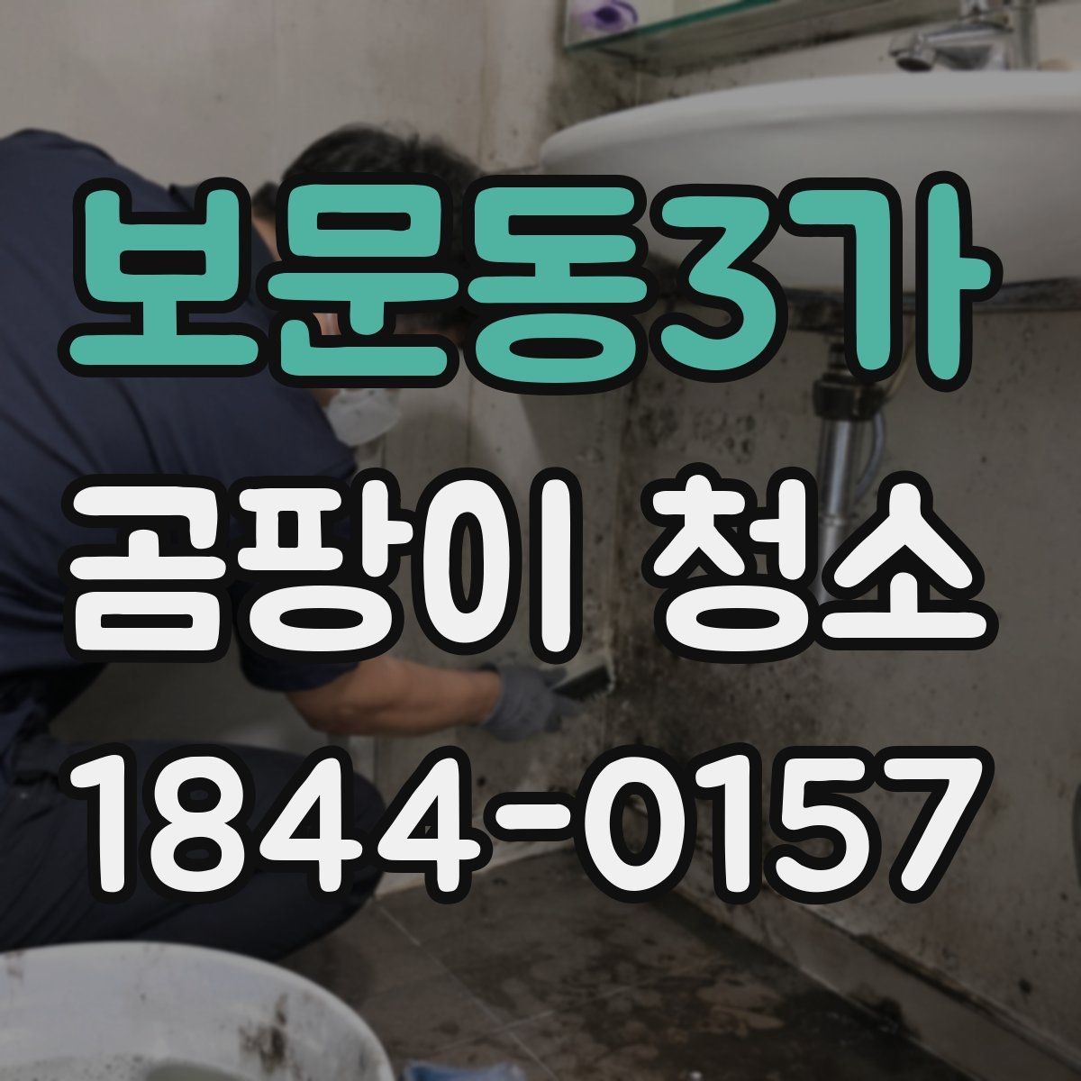 보문동3가 곰팡이 청소 포자 번짐을 줄이는 닦기 순서와 준비