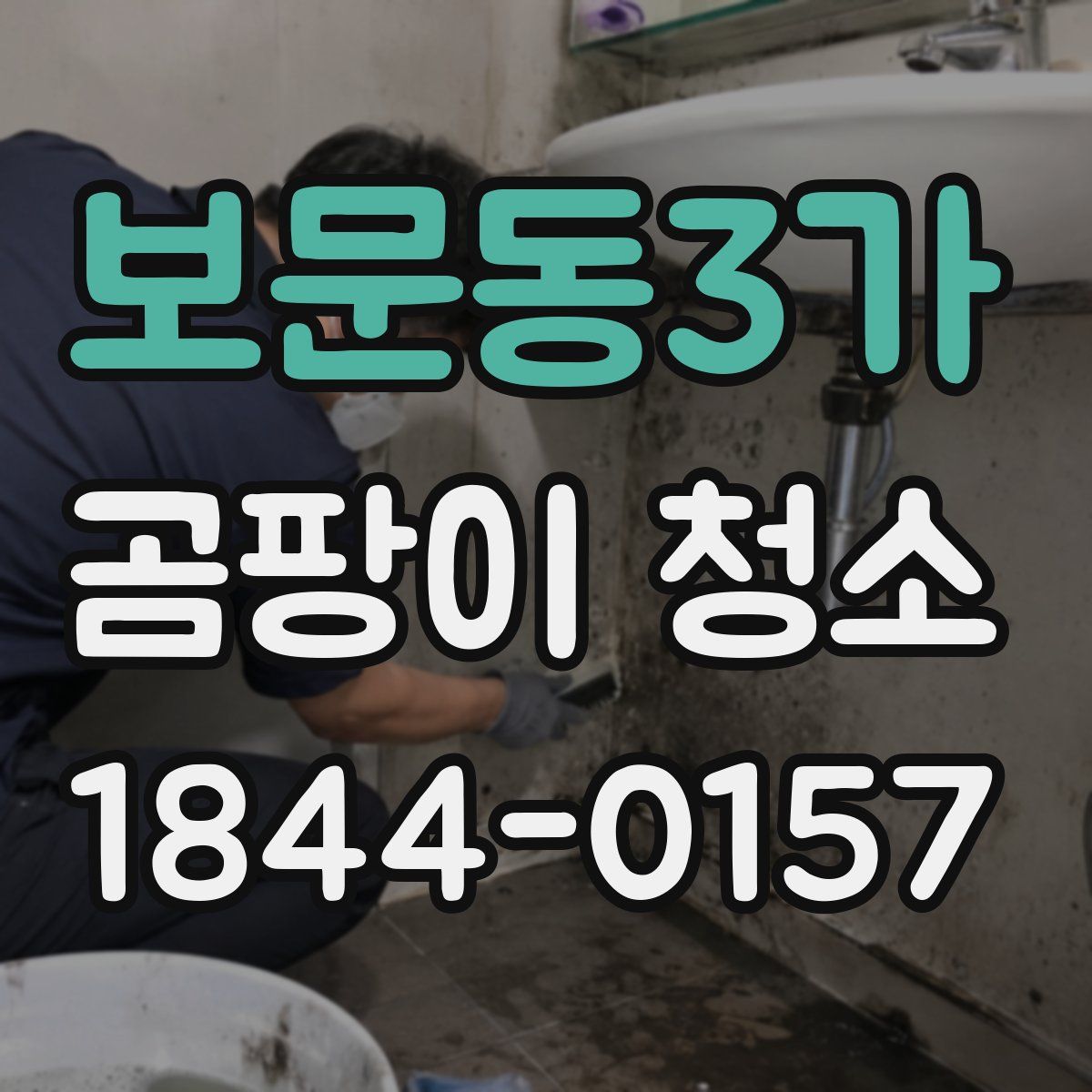 보문동3가 곰팡이 청소
