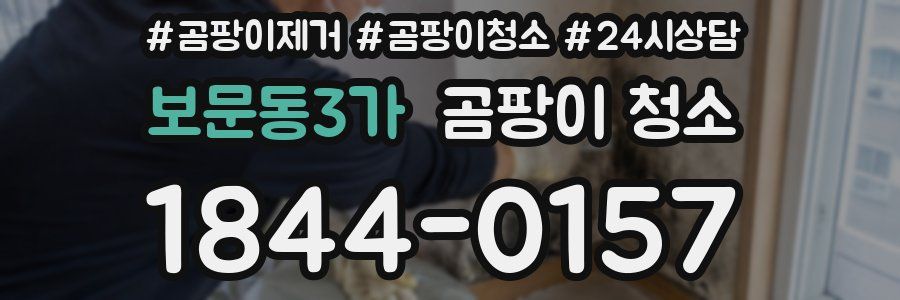 보문동3가 곰팡이 청소