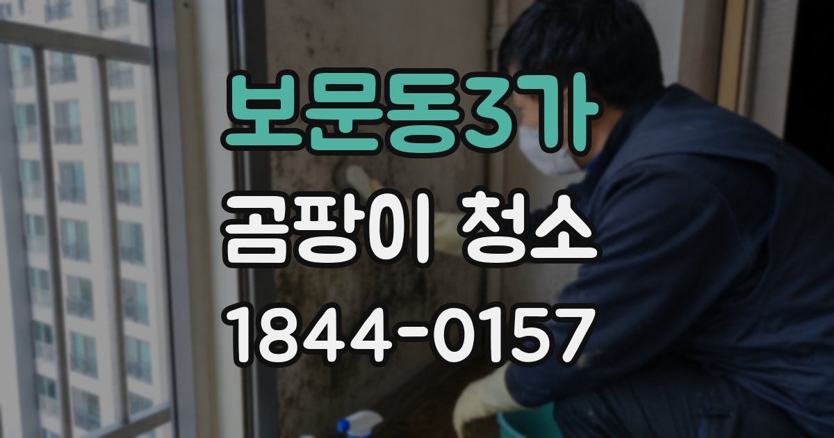 보문동3가 곰팡이 청소