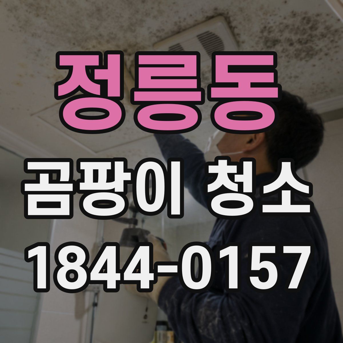 정릉동 곰팡이 청소