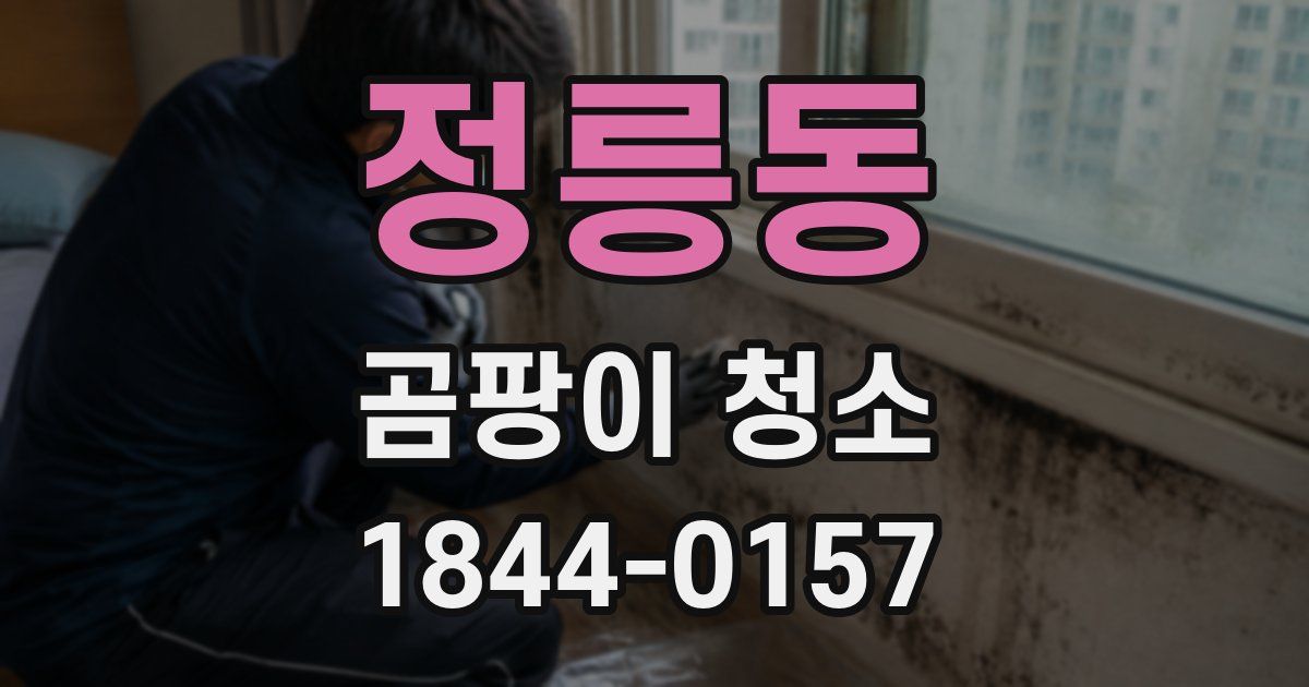 정릉동 곰팡이 청소