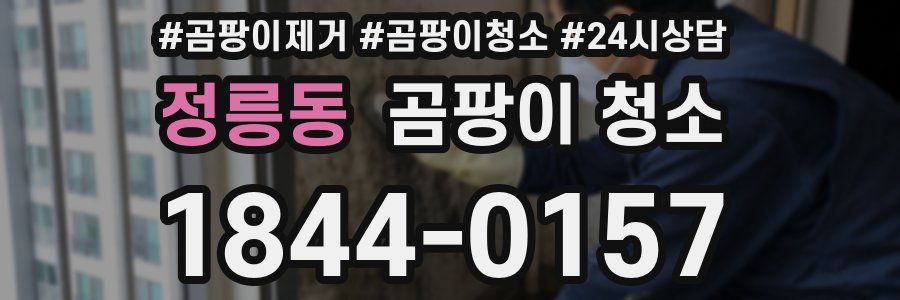 정릉동 곰팡이 청소