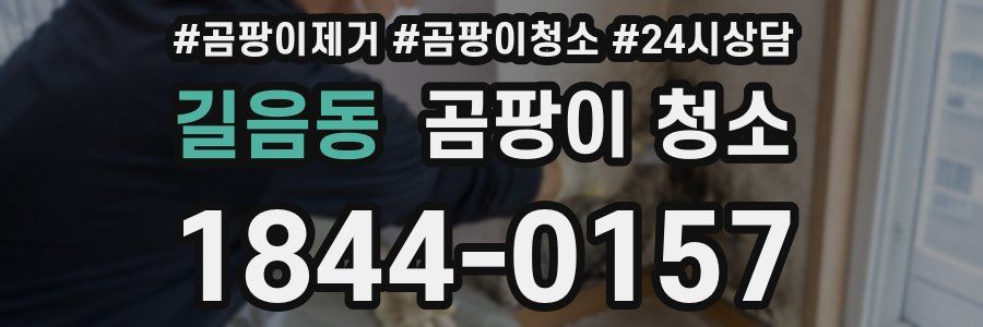 길음동 곰팡이 청소