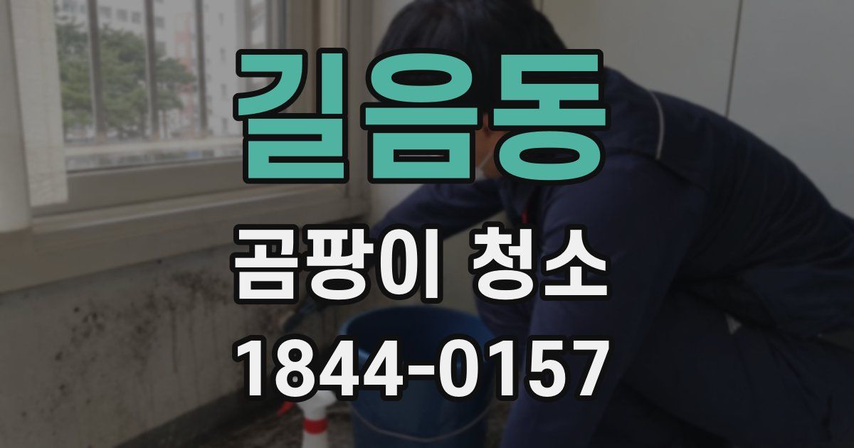 길음동 곰팡이 청소