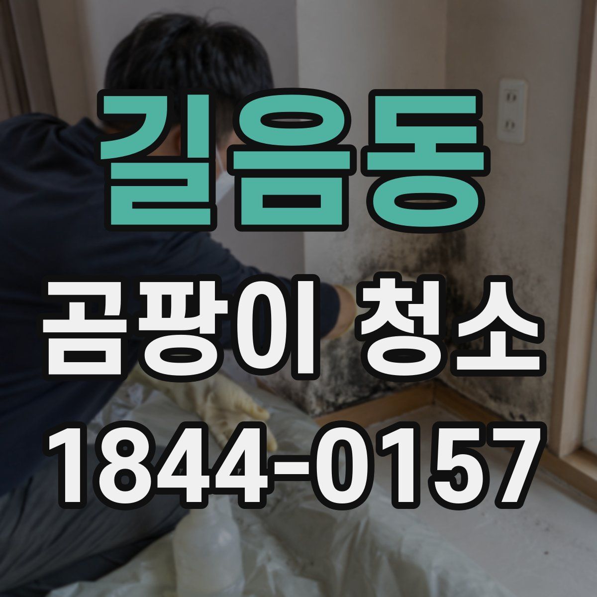 길음동 곰팡이 청소