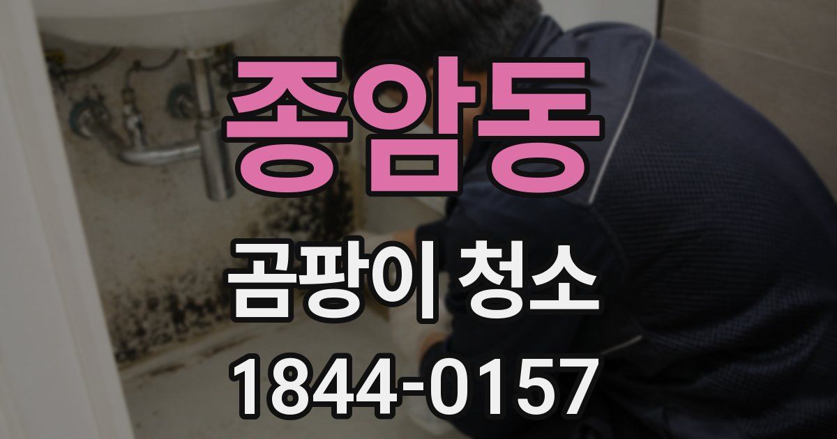 종암동 곰팡이 청소