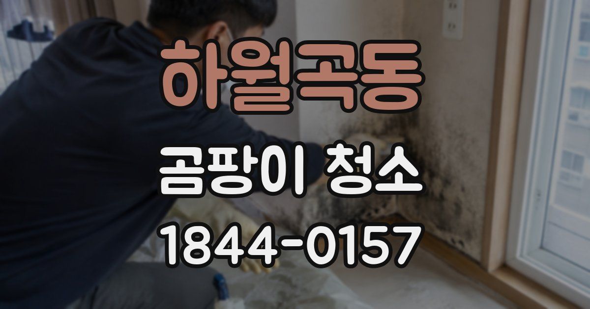 하월곡동 곰팡이 청소