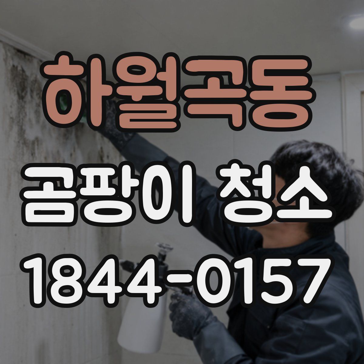 하월곡동 곰팡이 청소