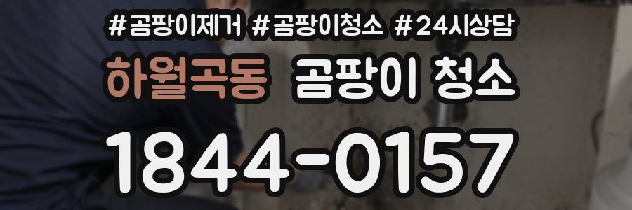 하월곡동 곰팡이 청소