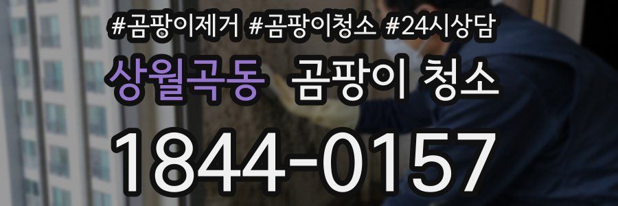 상월곡동 곰팡이 청소