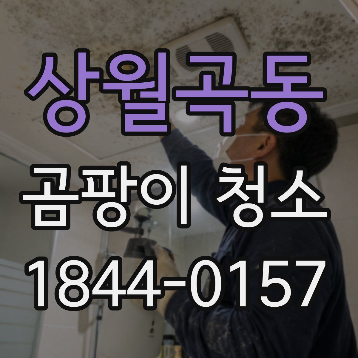 상월곡동 곰팡이 청소