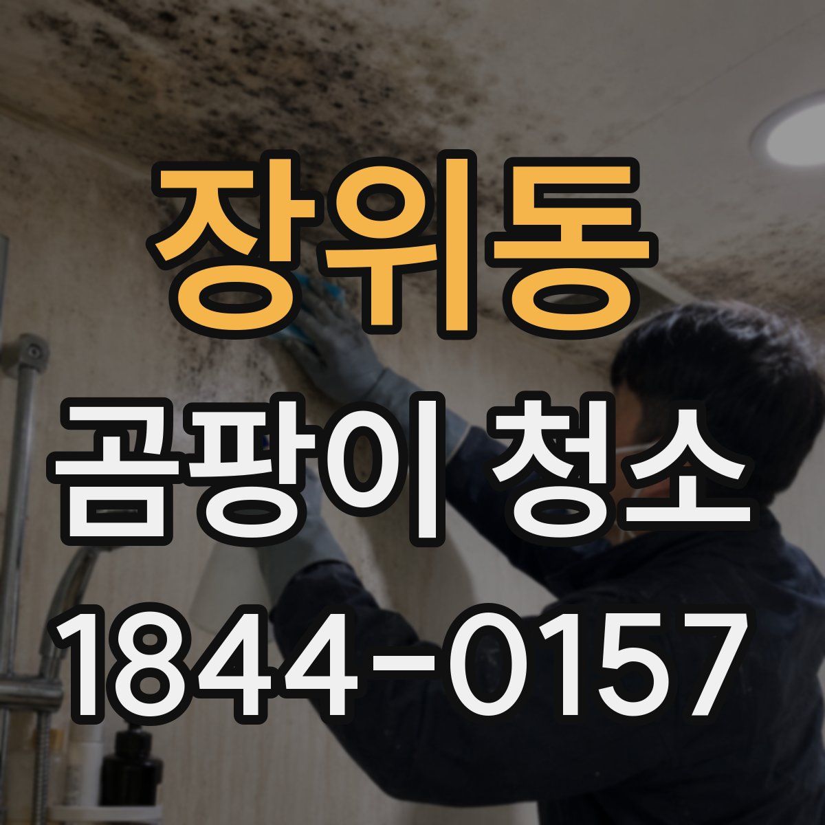 장위동 곰팡이 청소