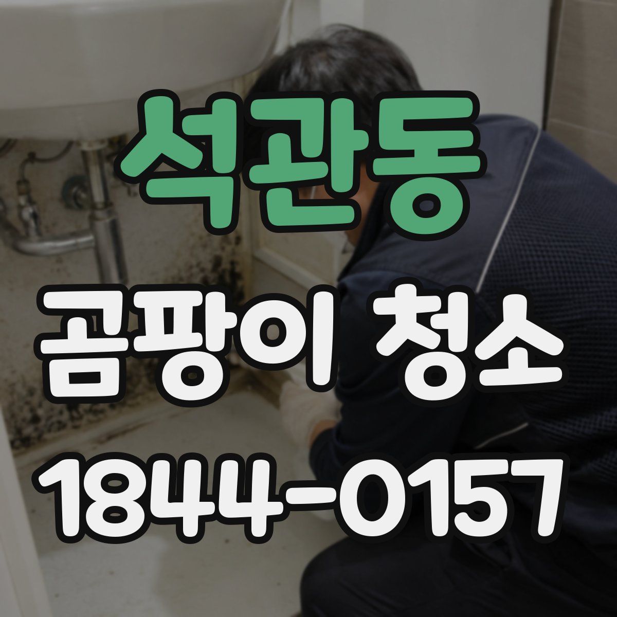 석관동 곰팡이 청소