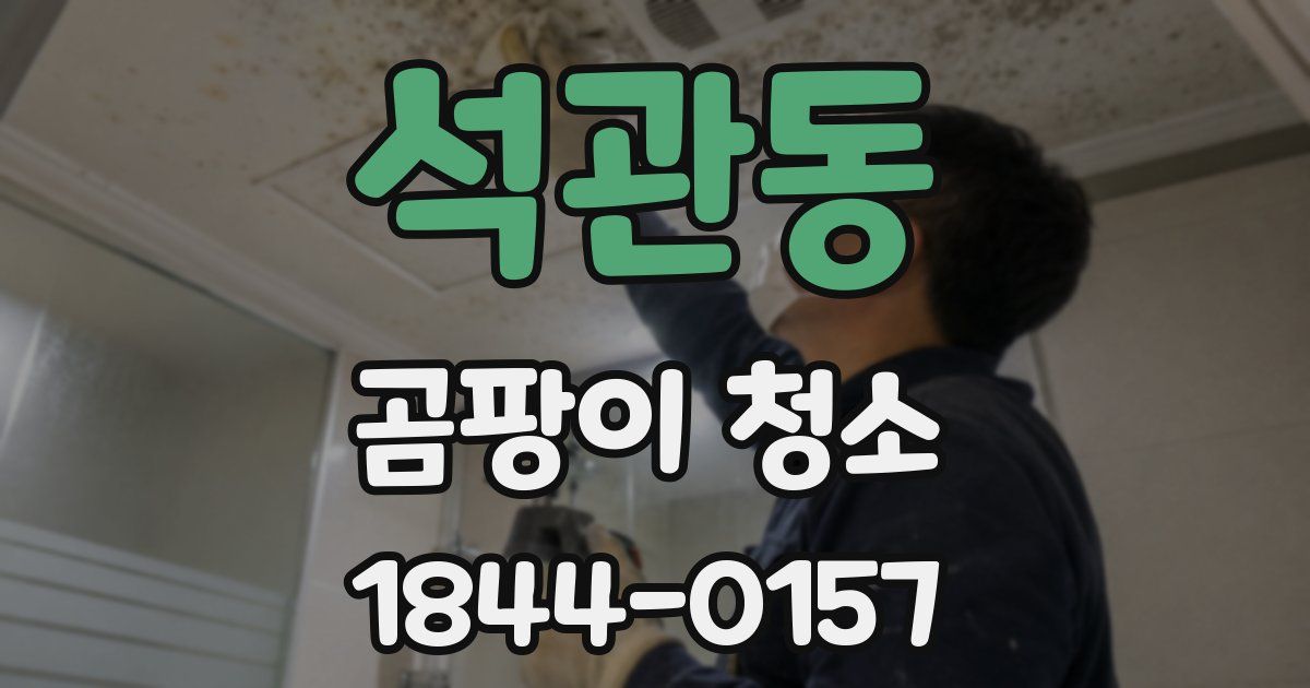 석관동 곰팡이 청소