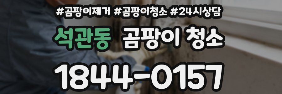 석관동 곰팡이 청소