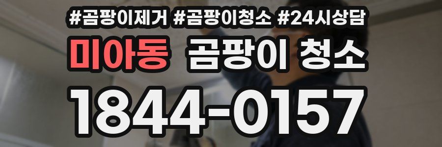 미아동 곰팡이 청소
