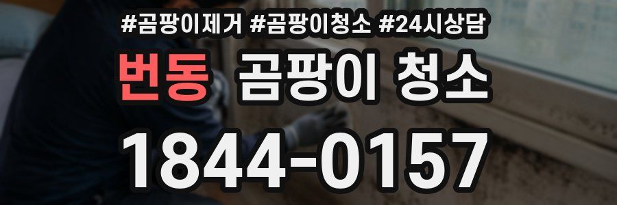 번동 곰팡이 청소