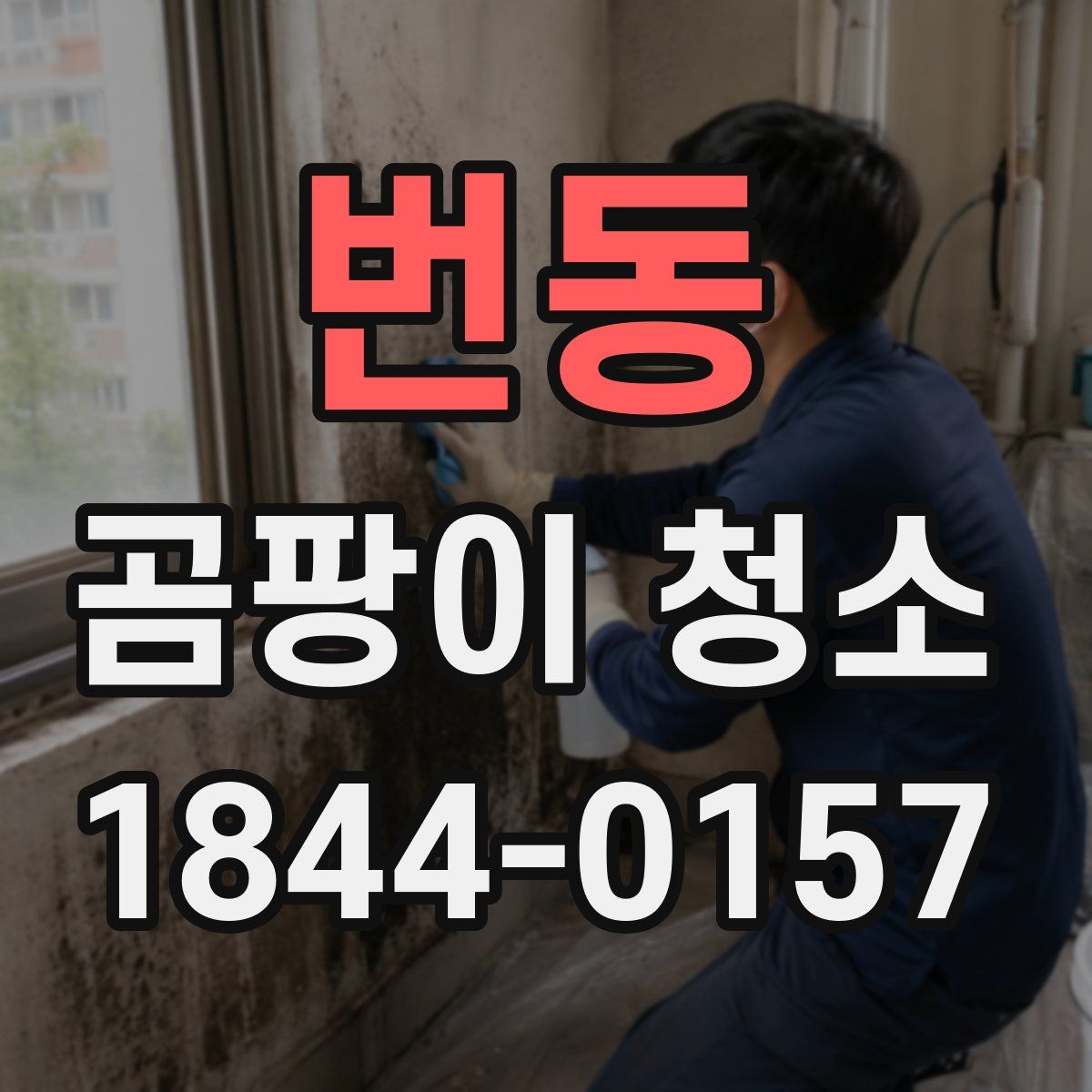 번동 곰팡이 청소