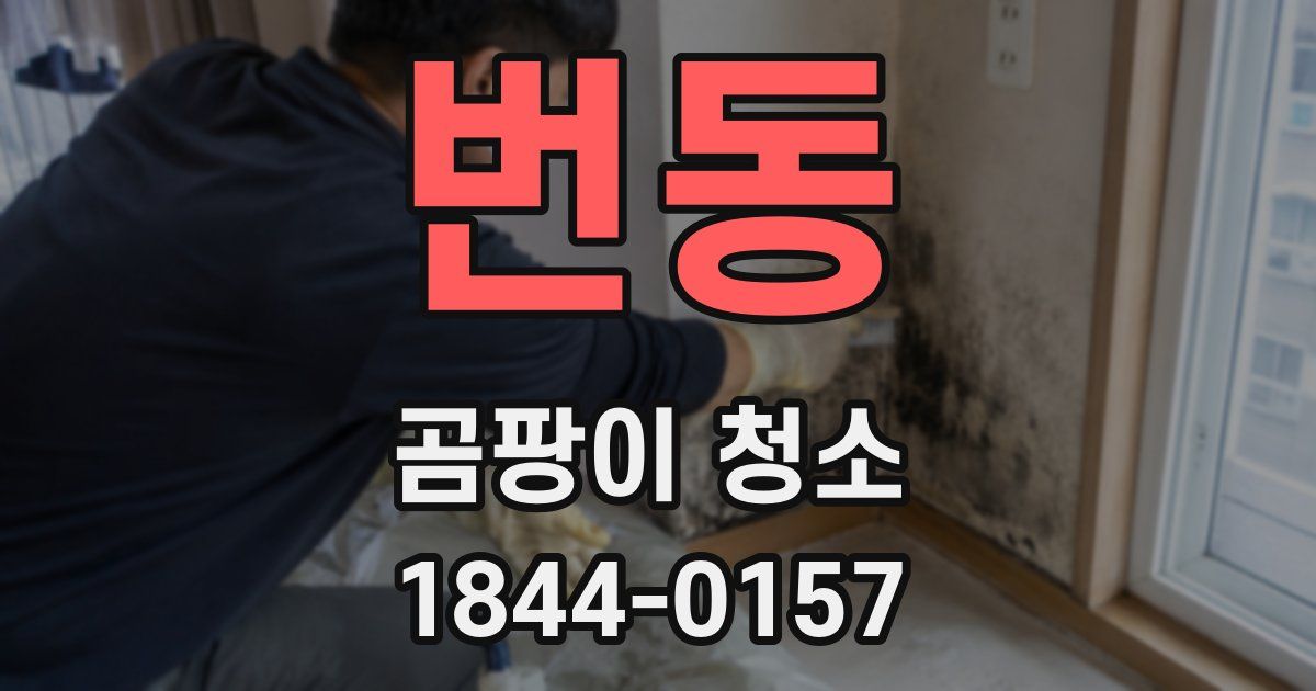 번동 곰팡이 청소