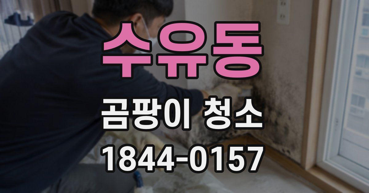 수유동 곰팡이 청소