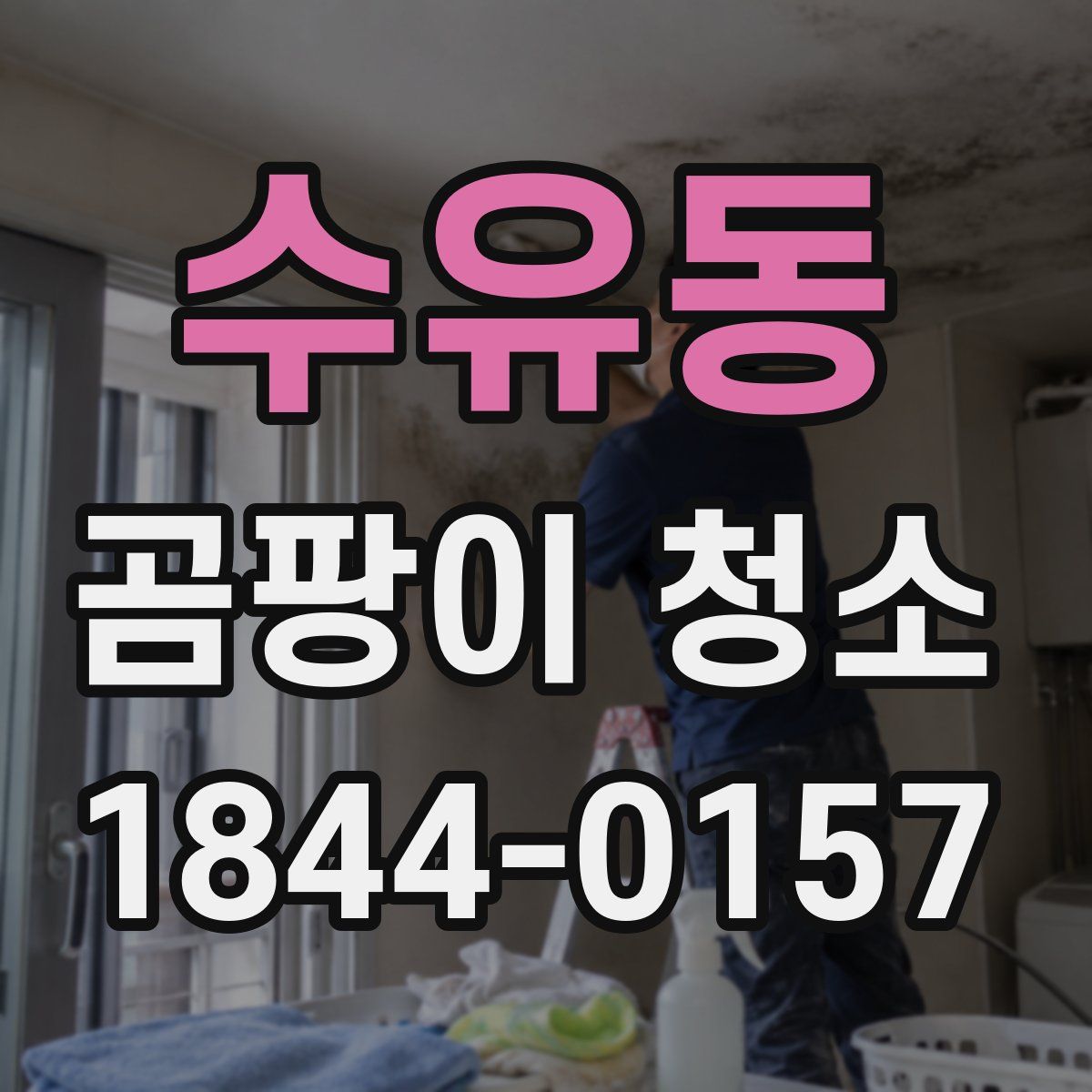 수유동 곰팡이 청소