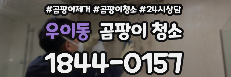 우이동 곰팡이 청소
